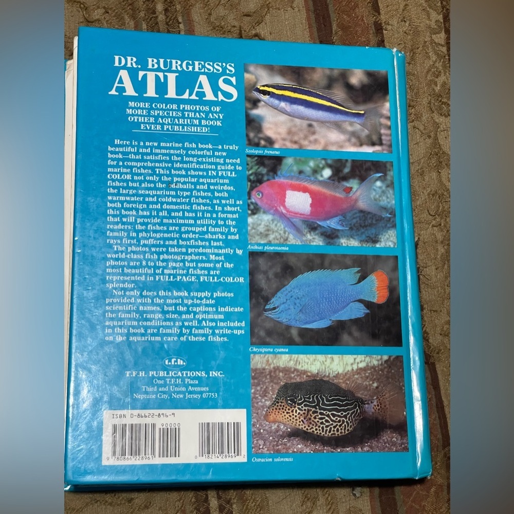 Dr Burgess's atlas of marine aquarium fishes - Picture 3 of 5